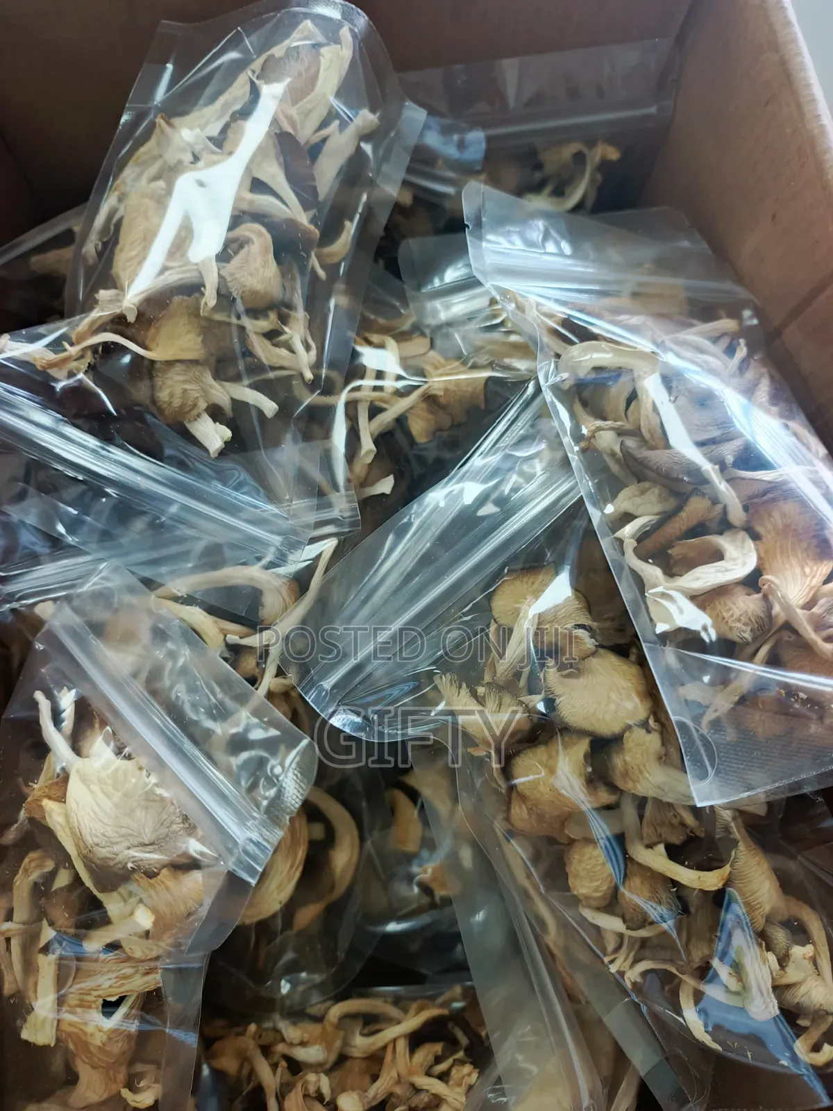 Dried Oyster Mushrooms