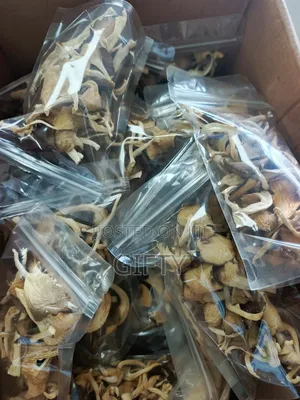 Dried Oyster Mushrooms