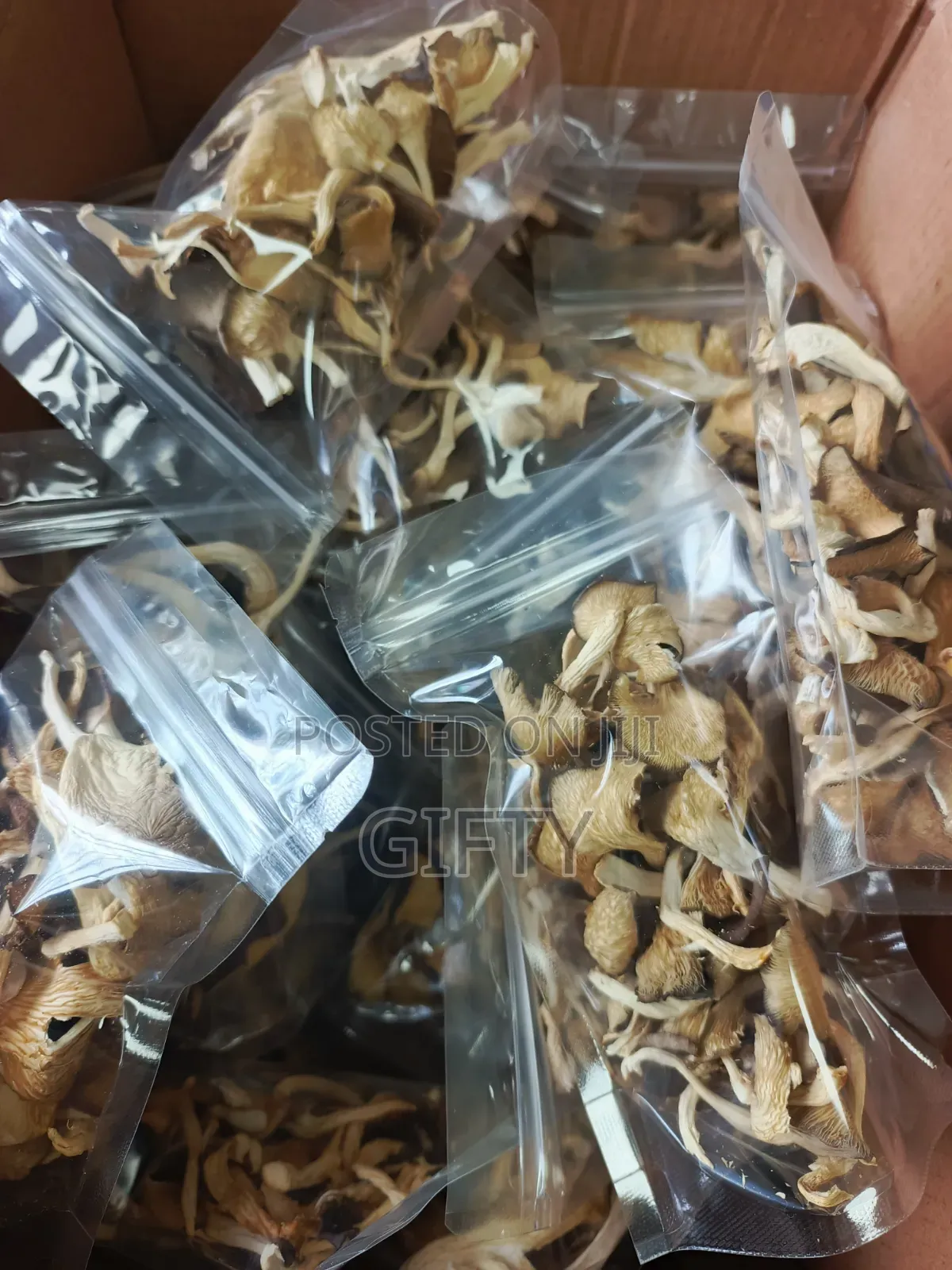Dried Oyster Mushrooms