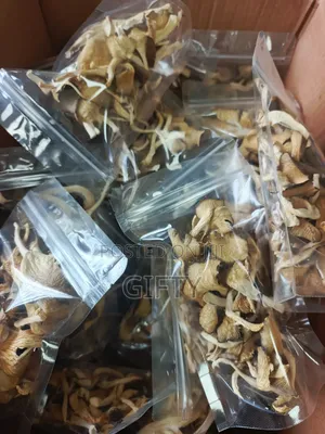 Dried Oyster Mushrooms
