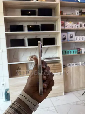 Apple iPhone 15 Pro Max 256 GB Silver