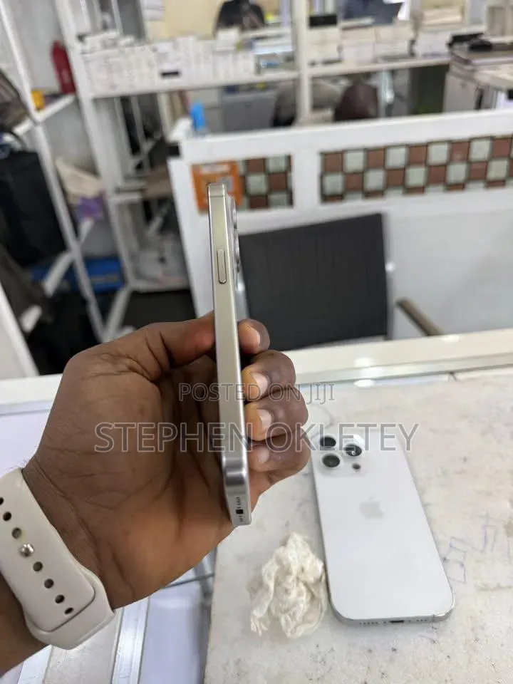 Apple iPhone 15 Pro Max 256 GB Silver