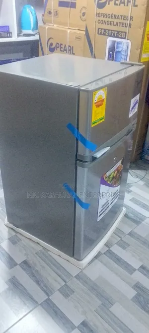 Roch Double Door Fridge With Top Freezer