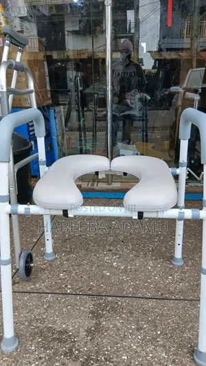 Toilet Seat Riser