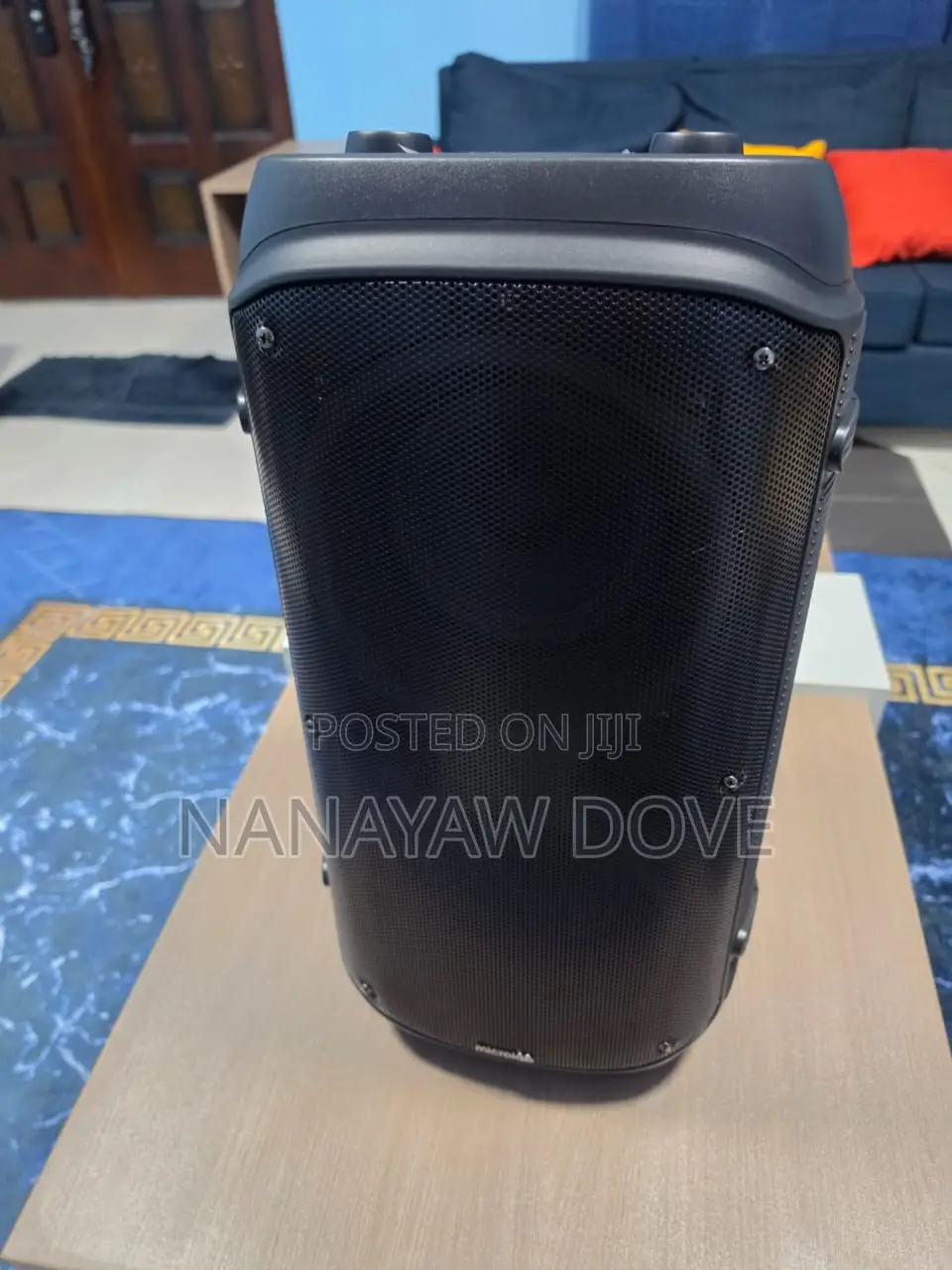 Microlab Party Speaker Pt600