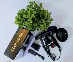 Deliya Professional Hair Dryer