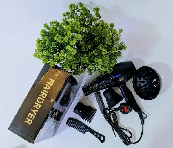 Deliya Professional Hair Dryer