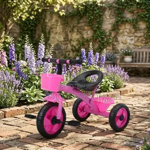 Kids Tricycle (3months To 3years)