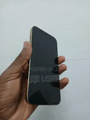 Apple iPhone 12 Pro Max 128 GB Gold
