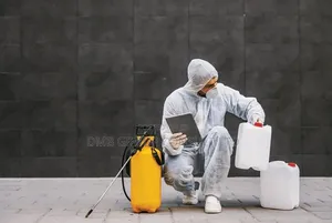 Madina Fumigation Services