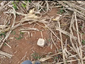 2 Plots of Leased Land