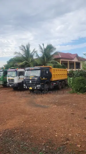 Sinotruk Howo Truck