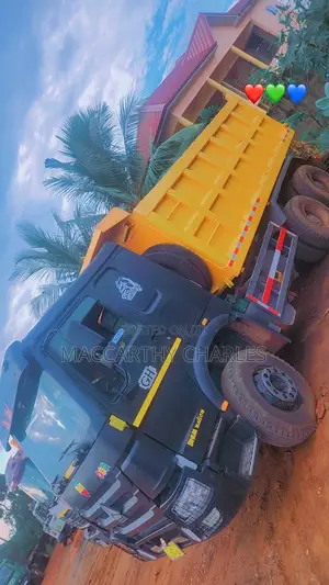 Sinotruk Howo Truck