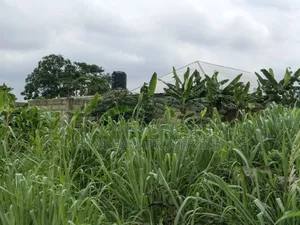 Plot for Sale at Ejisu Adadientem