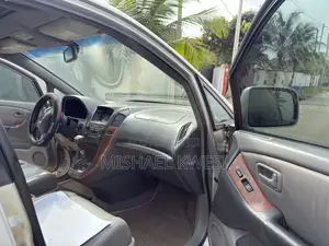 Lexus RX 350 2007 Silver