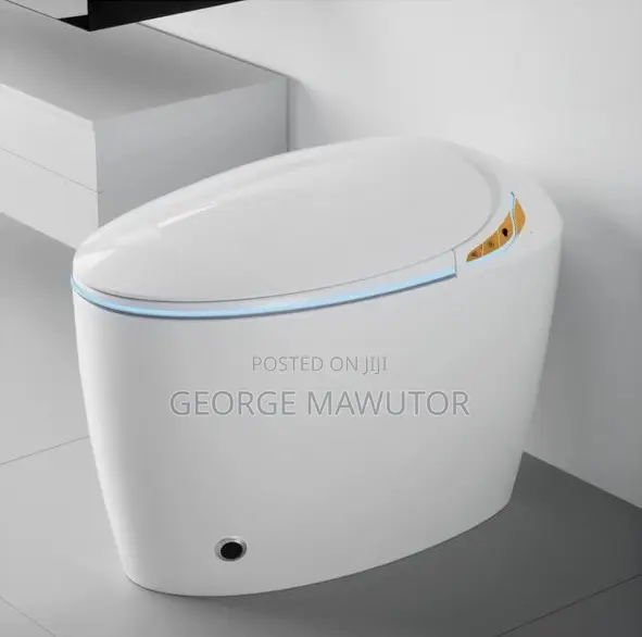 Casainc Smart Toilet