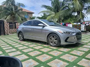 Hyundai Elantra ECO Sedan FWD (1.4L 4cyl 7A) 2017 Silver