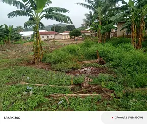 2 Plots of Land for Sale in Barekese Kumasi