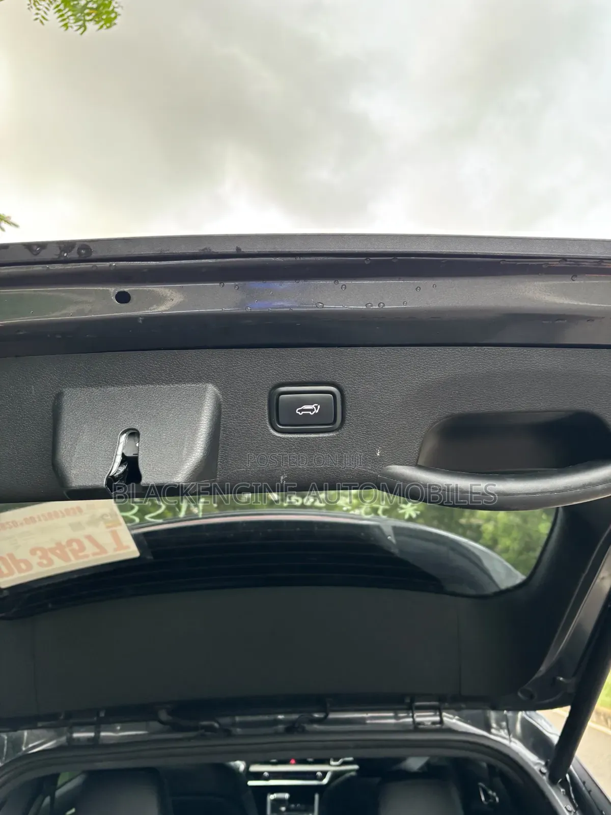 Kia Sportage X-Line 2023 Gray