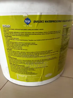 Enfleks Waterproof Sealer Paint