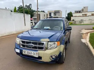 Ford Escape 2010 Blue