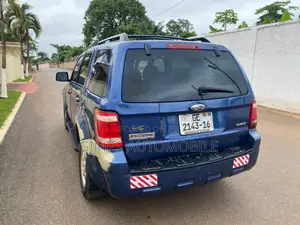 Ford Escape 2010 Blue