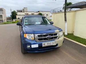 Ford Escape 2010 Blue