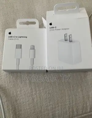 iPhone Fast Charger Head and Cord