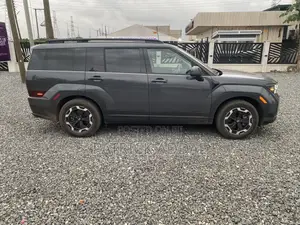 Hyundai Santa Fe 2024 Gray