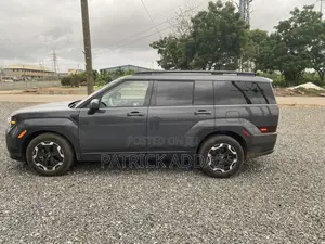 Hyundai Santa Fe 2024 Gray