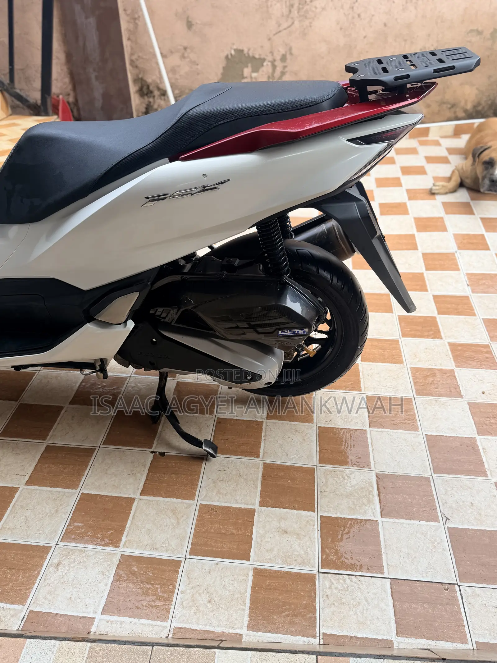 Honda 2022 White