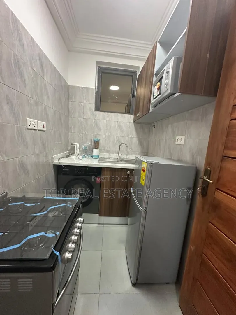 Furnished 1bdrm Apartment in ,, K. Boat, Ga East Municipal for rent