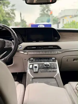 Hyundai Palisade Calligraphy 2021