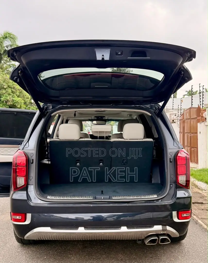 Hyundai Palisade Calligraphy 2021