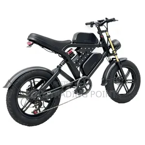 Dual Battery E-Bike for Delivery
