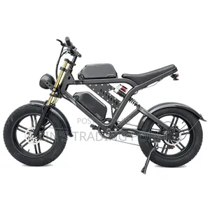 Dual Battery E-Bike for Delivery
