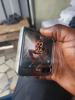 Samsung Z 16 GB Gray