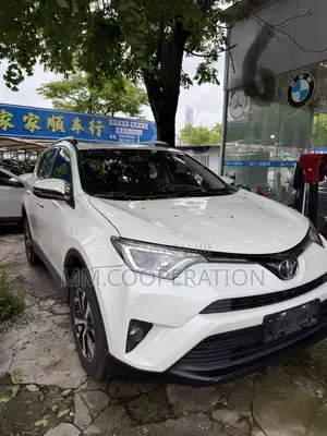 Toyota RAV4 XLE 4dr SUV AWD (2.5L 4cyl 6A) 2018 White