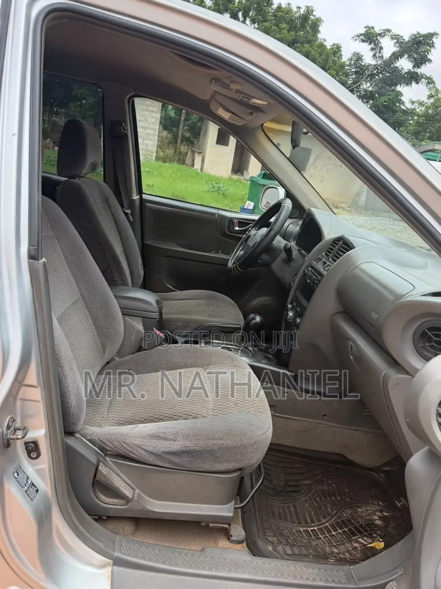 Hyundai Santa Fe 2004 Silver