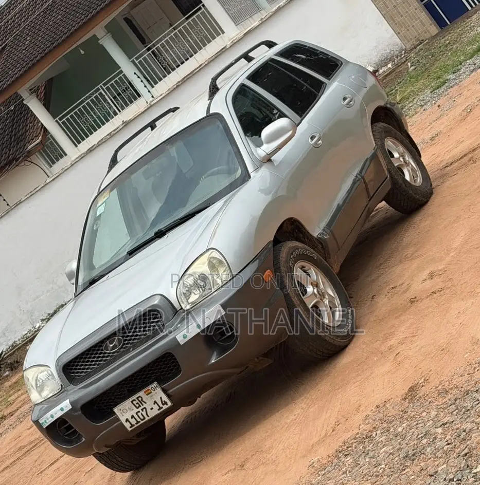 Hyundai Santa Fe 2004 Silver