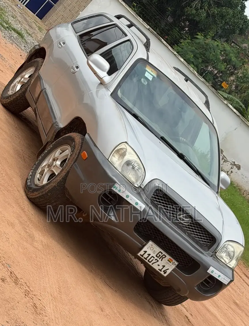 Hyundai Santa Fe 2004 Silver