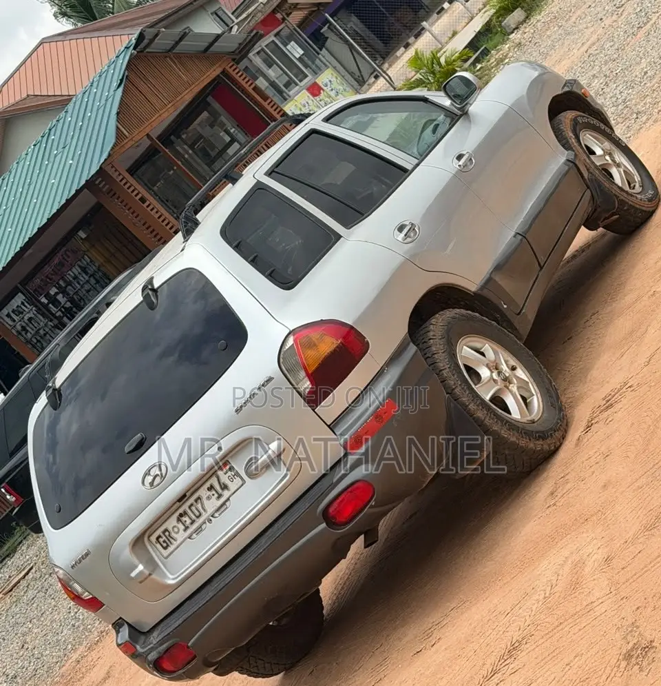 Hyundai Santa Fe 2004 Silver