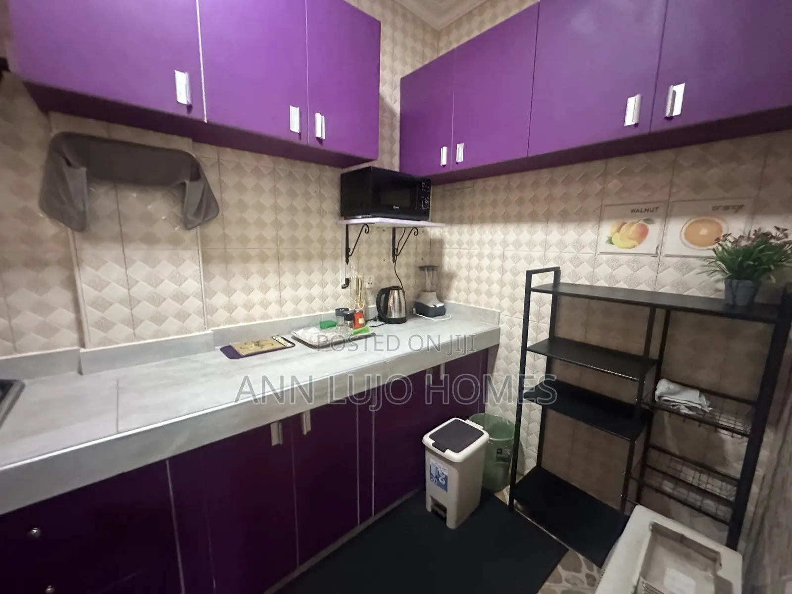 Furnished 2bdrm Apartment in Tseaddo for rent