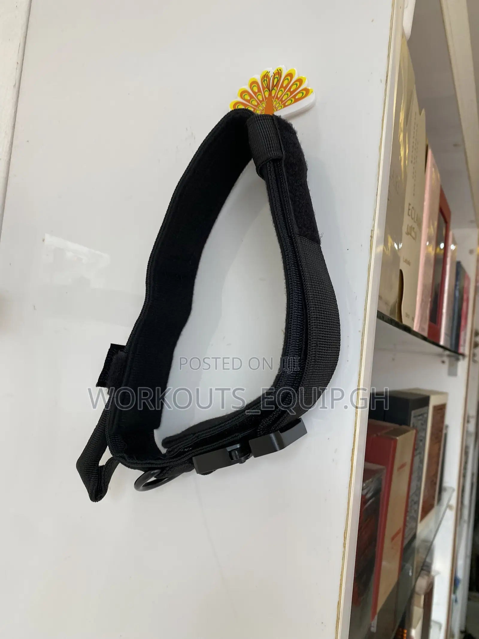 High Quality Collar for Dogs