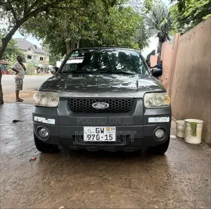 Ford Escape 2005 Gray