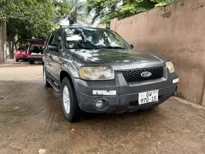 Ford Escape 2005 Gray