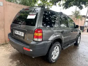 Ford Escape 2005 Gray