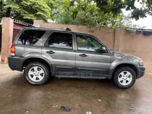 Ford Escape 2005 Gray