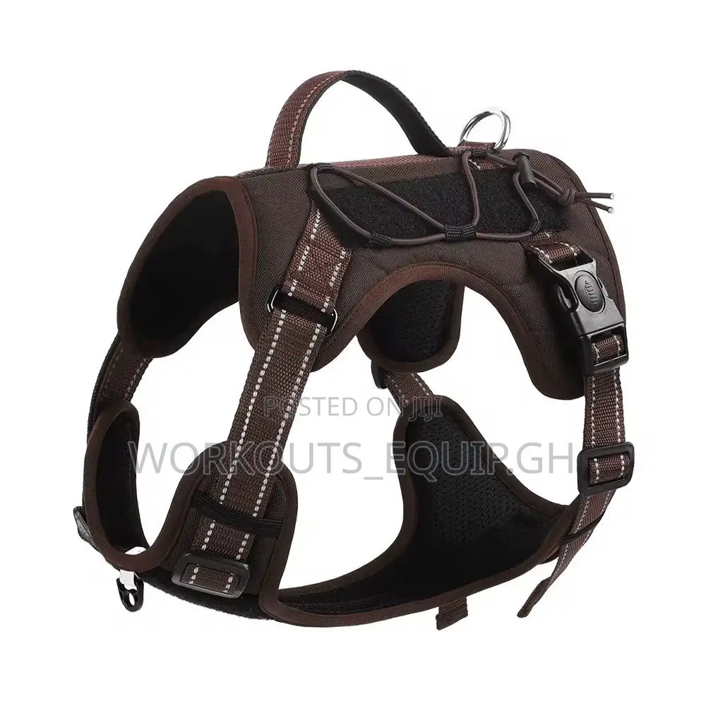 Leash, Collar and Harness Complete Set for Dogs