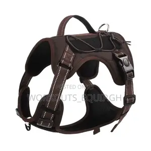 Leash, Collar and Harness Complete Set for Dogs